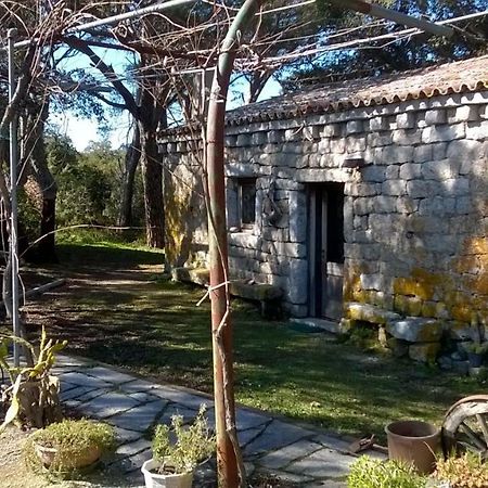 Agriturismo La Vigna Tempio Pausania Eksteriør bilde