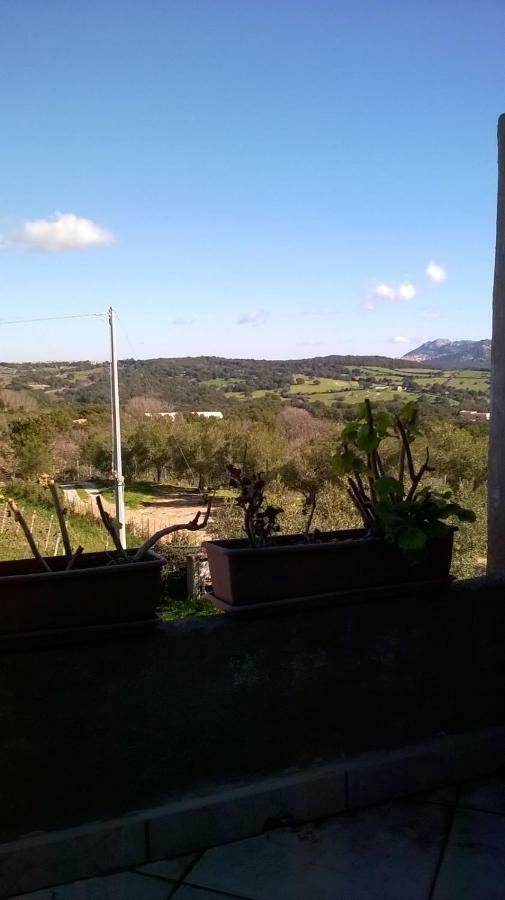 Agriturismo La Vigna Tempio Pausania Eksteriør bilde
