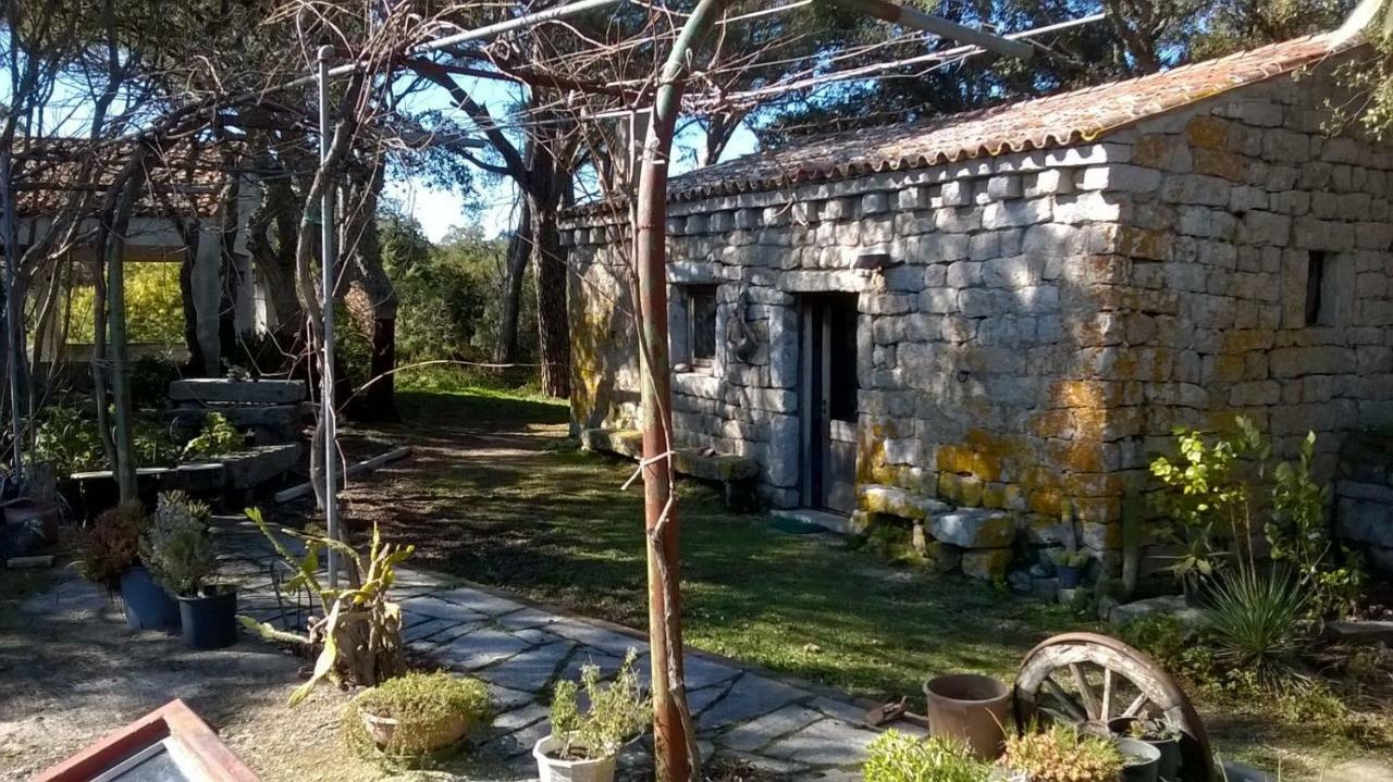 Agriturismo La Vigna Tempio Pausania Eksteriør bilde
