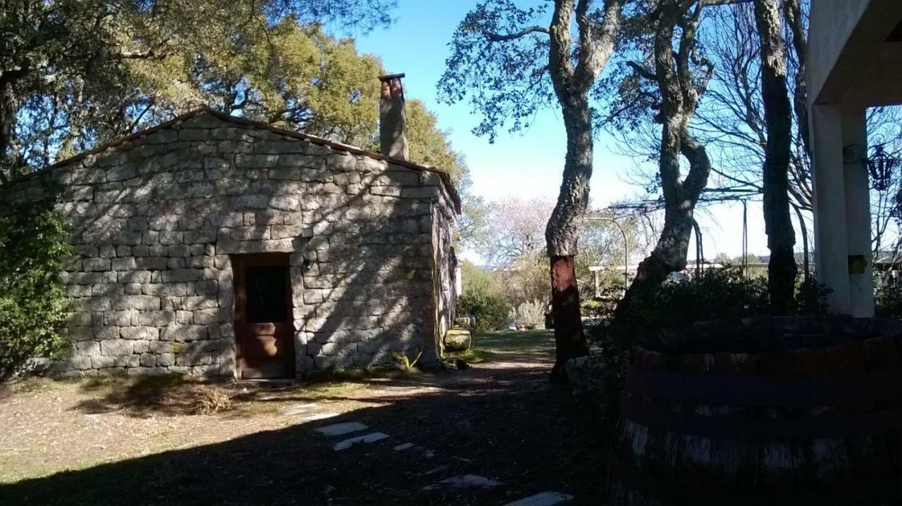Agriturismo La Vigna Tempio Pausania Eksteriør bilde