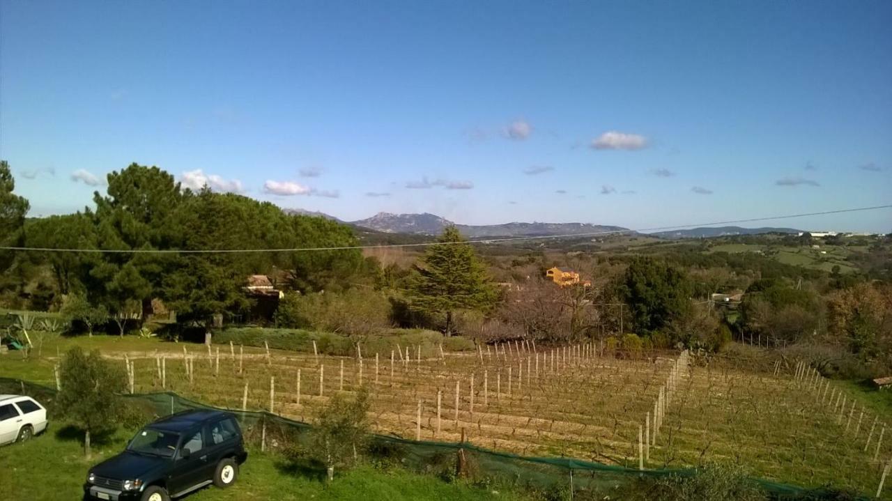 Agriturismo La Vigna Tempio Pausania Eksteriør bilde