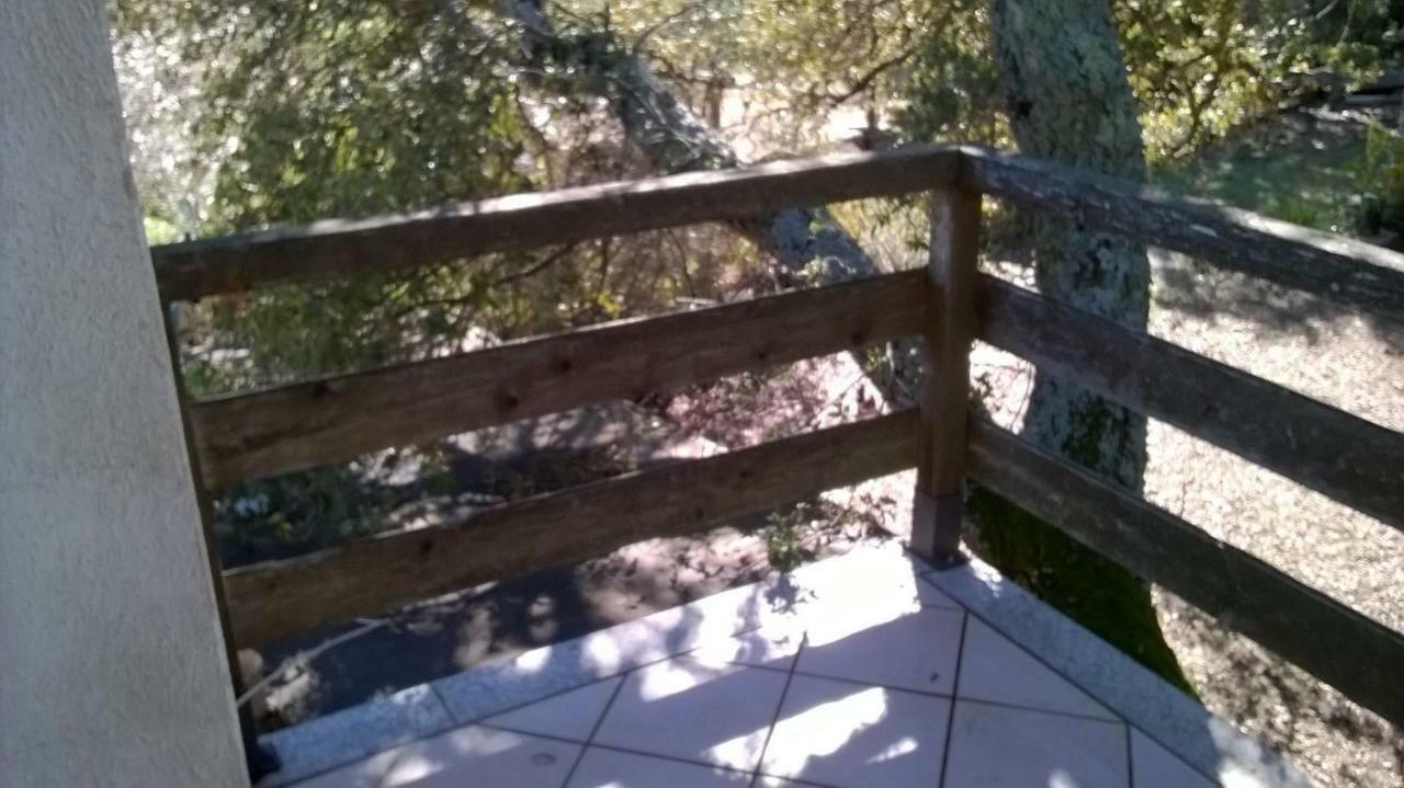 Agriturismo La Vigna Tempio Pausania Eksteriør bilde