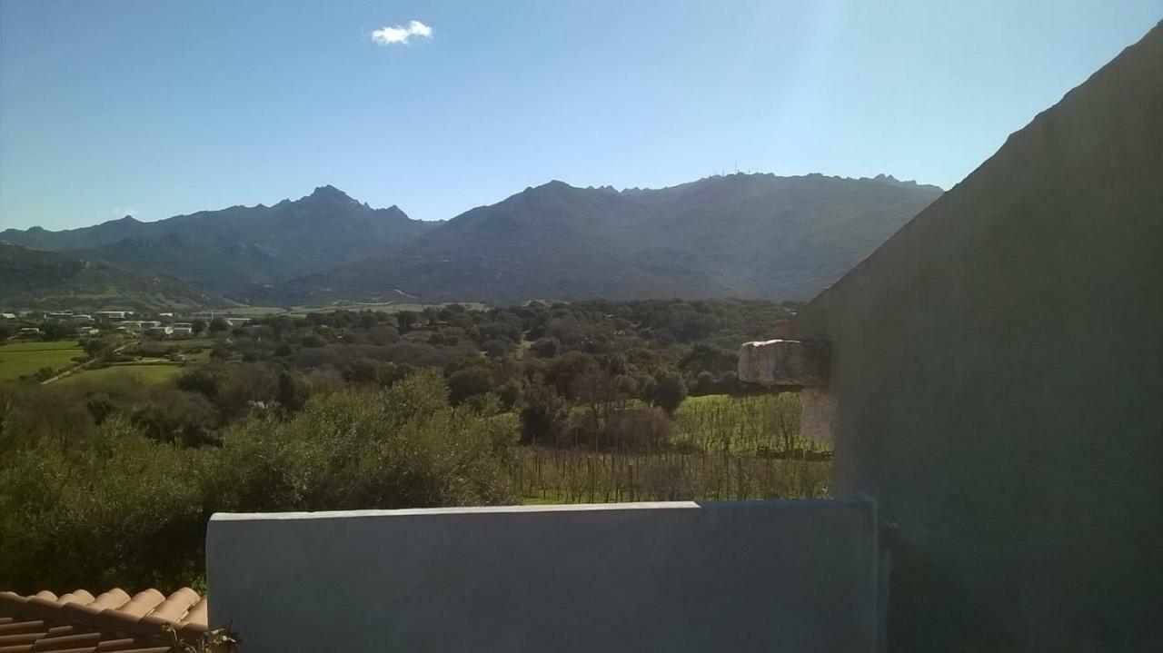Agriturismo La Vigna Tempio Pausania Eksteriør bilde