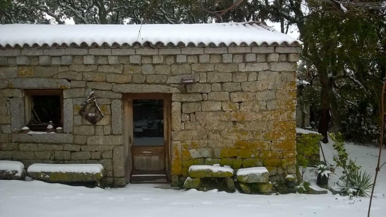Agriturismo La Vigna Tempio Pausania Eksteriør bilde