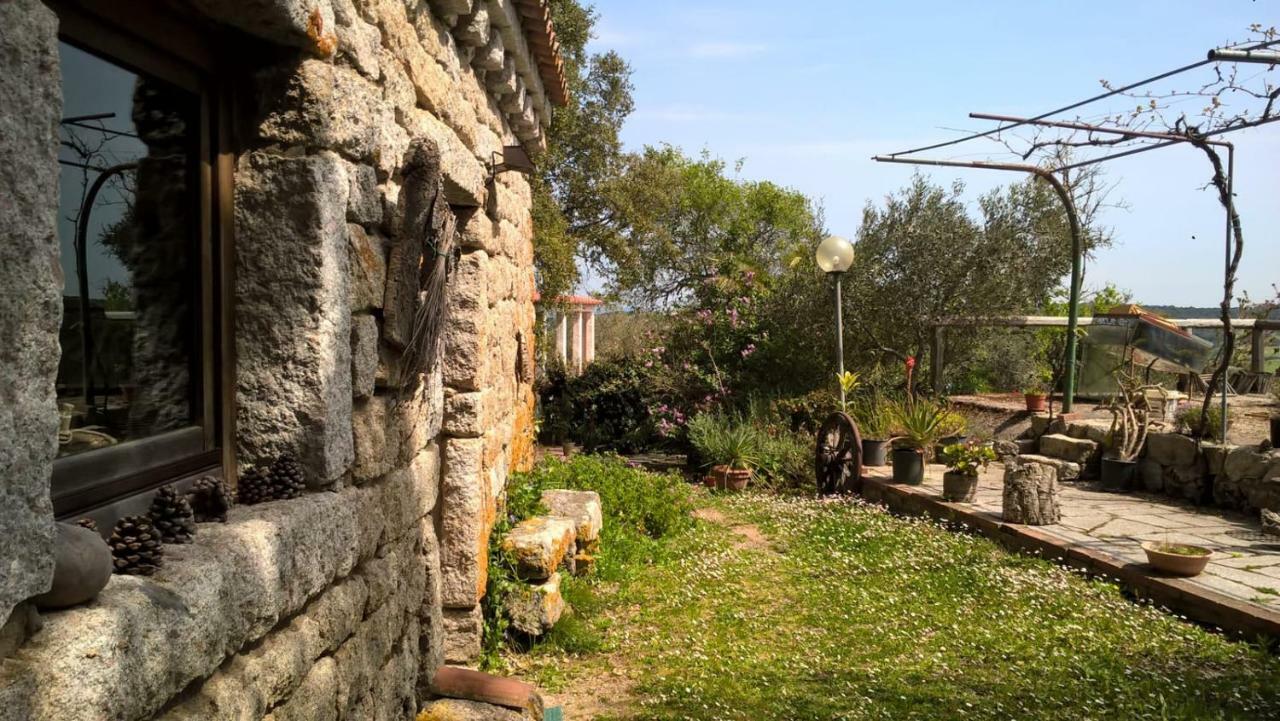 Agriturismo La Vigna Tempio Pausania Eksteriør bilde