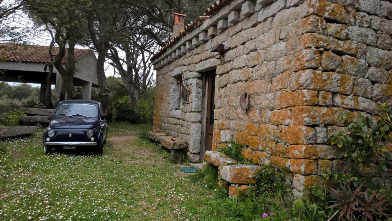 Agriturismo La Vigna Tempio Pausania Eksteriør bilde