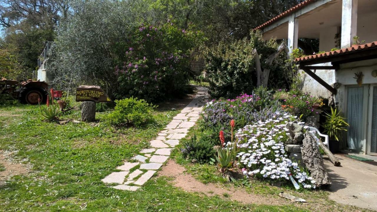 Agriturismo La Vigna Tempio Pausania Eksteriør bilde