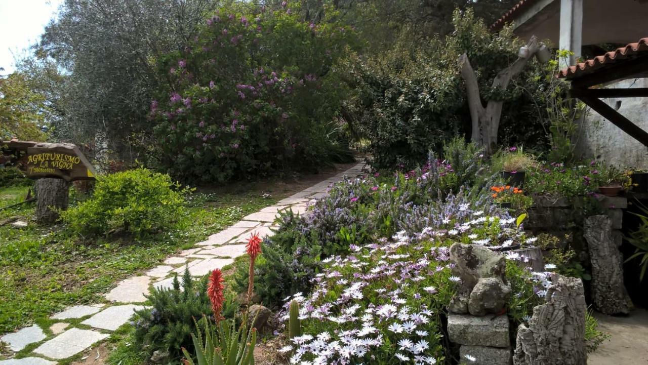 Agriturismo La Vigna Tempio Pausania Eksteriør bilde