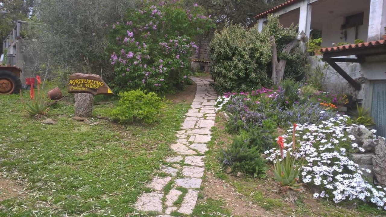 Agriturismo La Vigna Tempio Pausania Eksteriør bilde